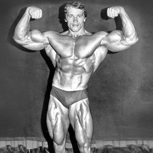 Der Arnold-Split erklärt